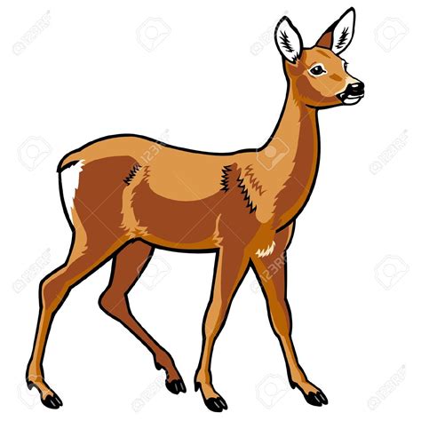 Doe clipart - Clipground