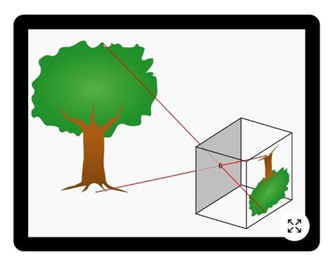 Pinhole Camera Light Ray Diagram