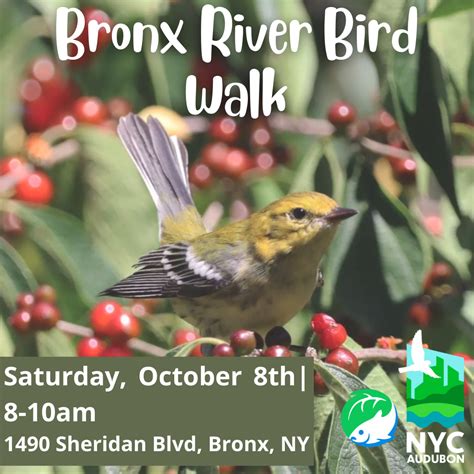 Bronx River Bird Walk - Bronx River Alliance