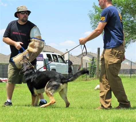 Protection Dog Training Austin Texas | Personal Protection