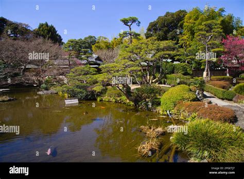 Japan, Tokyo, New Otani Hotel, garden Stock Photo - Alamy