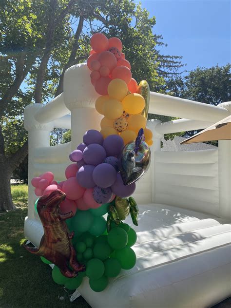 Discover the Top 10 Bounce House Themes for an Unforgettable Bay Area Birthday Party — Jellybean Bop