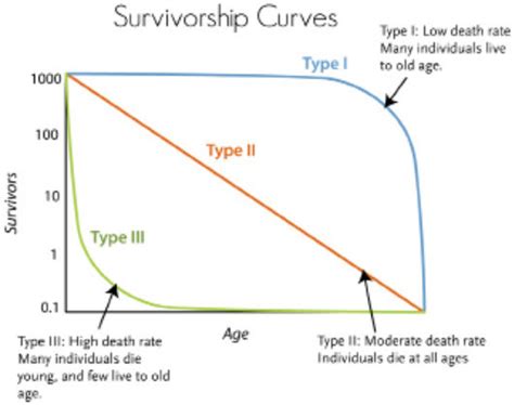 Population Study Guide | CK-12 Foundation