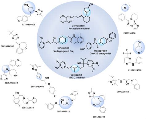 Ion Channel Library - Enamine