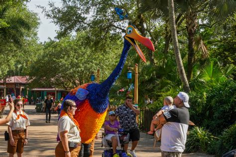 Kevin from 'Up' Once Again Roaming Disney's Animal Kingdom - WDW News Today