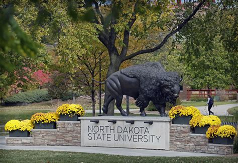 Current, former NDSU employees allege pattern of unequal treatment of ...