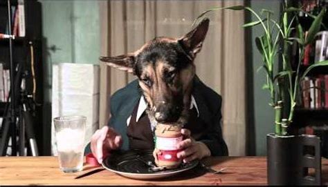 Video of a Dog Eating Peanut Butter Like a Person Is Hilarious