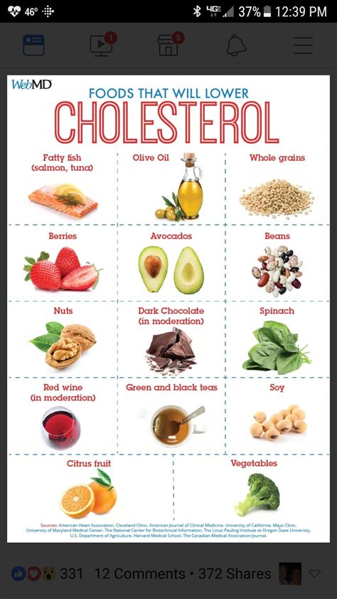 Low Cholesterol Diet: Tips and Tricks for a Healthier Heart - Rijal's Blog