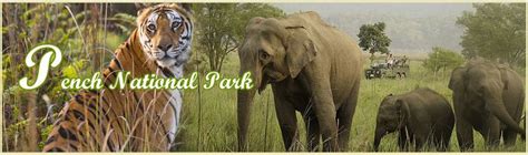 Pench National Park National Parks Map, Madhya Pradesh, Wildlife ...