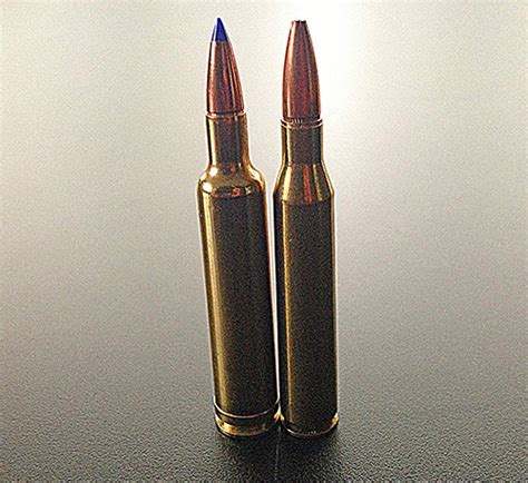 .25-06 Remington vs .257 Weatherby Mag: Which is the Best Hu - RifleShooter