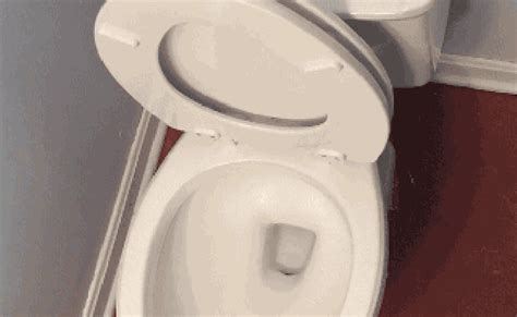 Skibidi Toilet Dj Skibidi Gif Skibidi Toilet Dj Skibidi Dj Skibidi ...