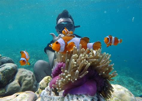 Adventure - Snorkeling Pulau Pahawang