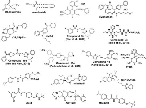 Recent advances in the development of T‐type calcium channel blockers for pain intervention ...