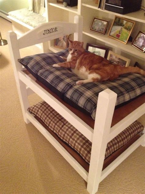 Bunk Bed Cat Condo easy do it yourself project. | Cat bunk beds, Diy bunk bed, Stylish cat bed