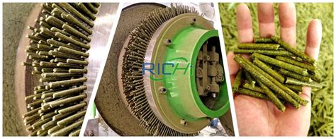 Grass/Alfalfa Pellet Machine - pellet-richi.com