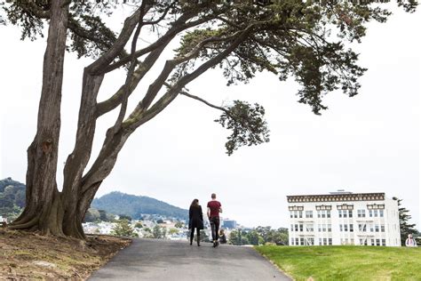 Alamo Square Park: What it looks like after $5.3 million renovation - Curbed SF