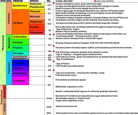 2.1: A Brief Summary of the Evolution of Life on Earth through Time - Geosciences LibreTexts