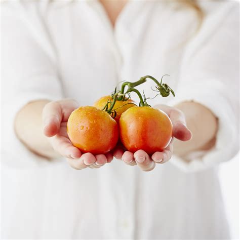 Harvesting Tomatoes: The Complete Guide - THE SAGE
