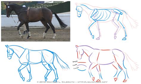 Time to Reflect - – Horse Drawing Tips – Hello, all! I thought I’d...