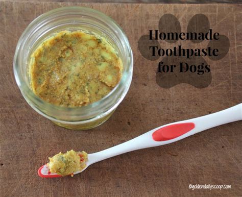 DIY: Homemade Dog Toothpaste