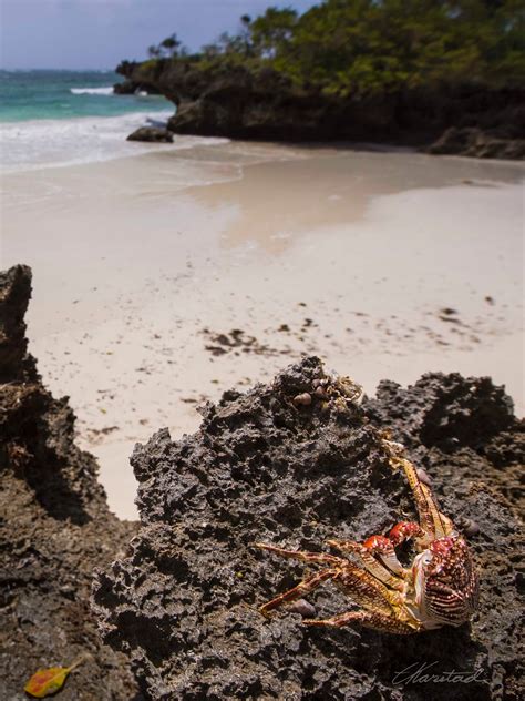 Elsen Karstad's 'Pic-A-Day Kenya': Chale Island Beach, South Coast Kenya