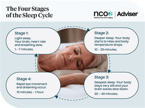 Sleep Stages, Cycles, And Why We Sleep