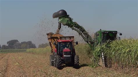 Sugar Cane Harvesting Photograph by Betty Berard - Fine Art America