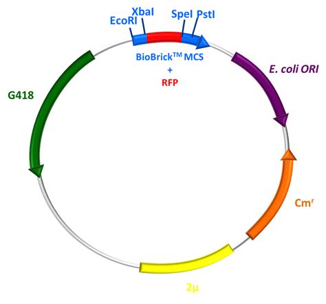 Part:BBa K814015 - parts.igem.org