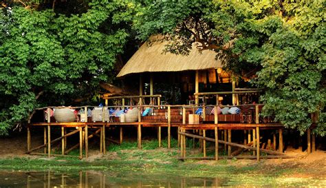 Bushcamp’s South Luangwa Safari | Bench Africa