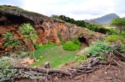 Makauwahi Cave | Images of Old Hawaiʻi