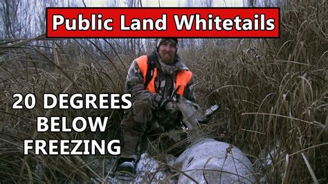 Public Land Deer Hunting In Central Minnesota - Public Land Whitetails - YouTube