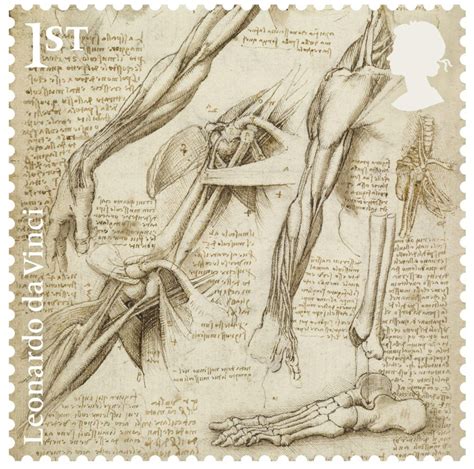 A Dozen New Stamps Celebrate Leonardo da Vinci’s Drawings | Colossal ...