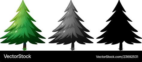 Set of pine tree Royalty Free Vector Image - VectorStock