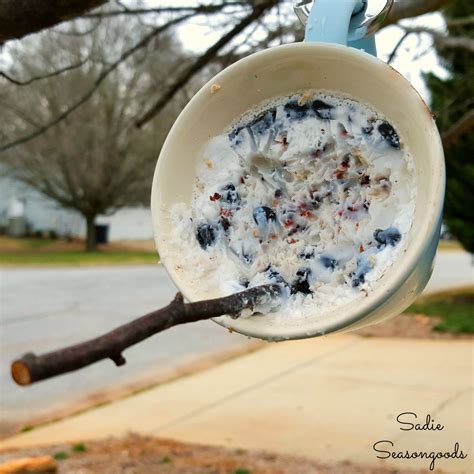 Suet Feeder in a Coffee Mug | Suet bird feeder, Suet feeder, Homemade bird feeders