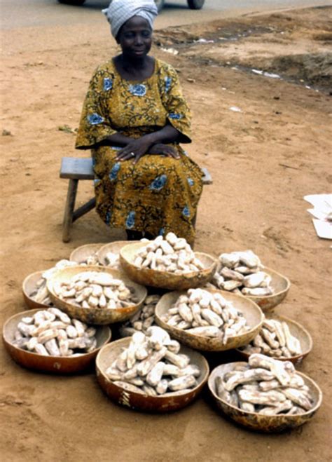 PhotoEssay » West Africa: Boosting Yam Production - allAfrica.com