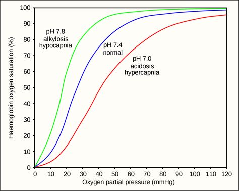 Transport in the Blood - TeachMePhysiology