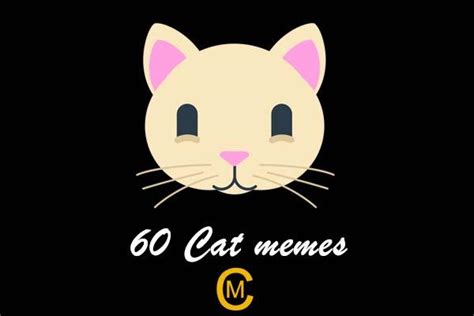 60 Cutest Cat Meme - Meme Central
