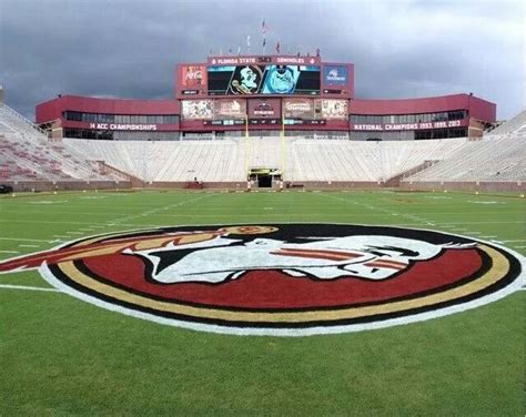 Stadium | Florida state football, Florida state university, Noles football