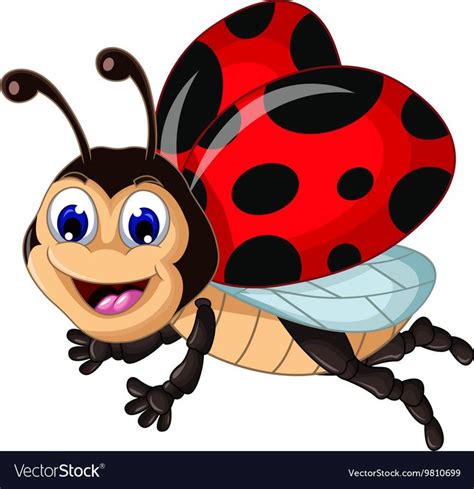 vector illustration of funny ladybugs flying cartoon for your design ...