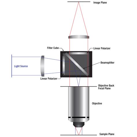 Thorlabs Polarizing Beam Splitter - The Best Picture Of Beam