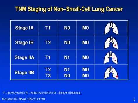 PPT - Non–Small-Cell Lung Cancer Diagnosis and Staging PowerPoint Presentation - ID:4408774