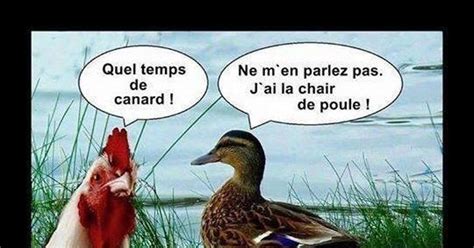 un temps de canard