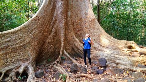 When a Tourist Meets Nature: A Story from a City-Dwelling Brit