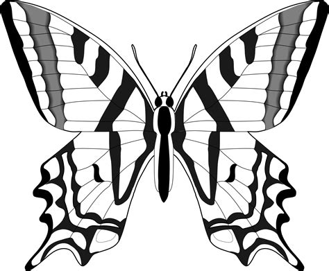 Best Butterfly Clipart Butterfly Clipart Black And White Outline | Images and Photos finder