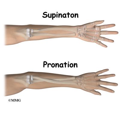 Index of /images/ContentImages/elbow/elbow_arthroplasty