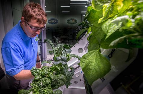 Farming In Space: The Future Of Indoor Farming Is Unfolding Aboard The International Space ...