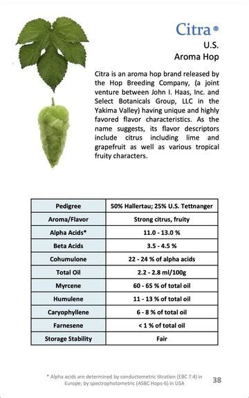 Citra Hops (IPA- Aroma) - Arishtam India