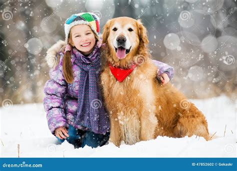 Girl with golden retriever stock photo. Image of golden - 47852602