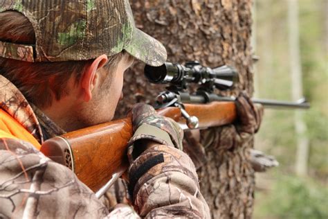 3 Deer Hunting Rifles for States with Cartridge Restrictions