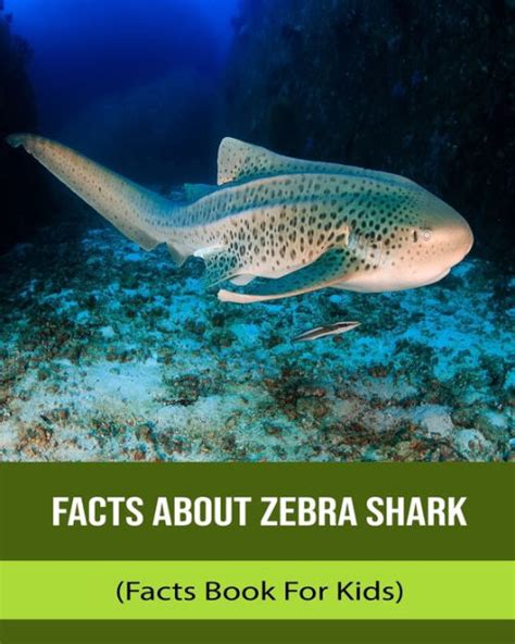 Facts About Zebra Shark (Facts Book For Kids) by Lina Raol, Paperback | Barnes & Noble®